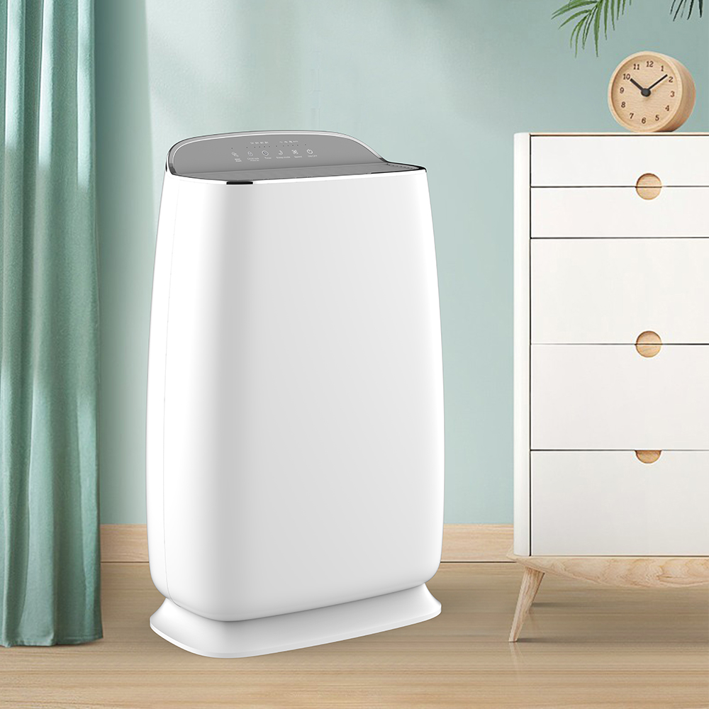 REMOVE FORMALDEHYDE BEST,ENJOY FRESH AIR MOST BKJ-16A