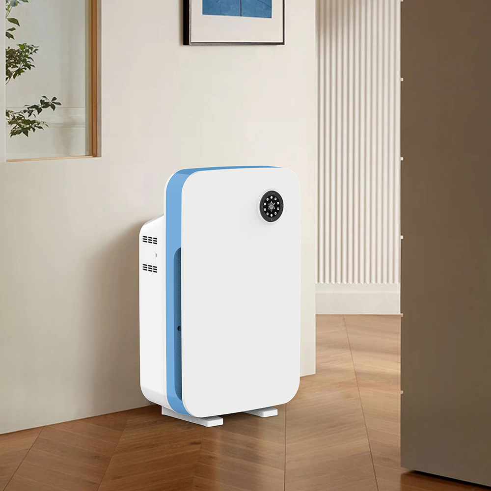 REMOVE FORMALDEHYDE BEST,ENJOY FRESH AIR MOST BK-02