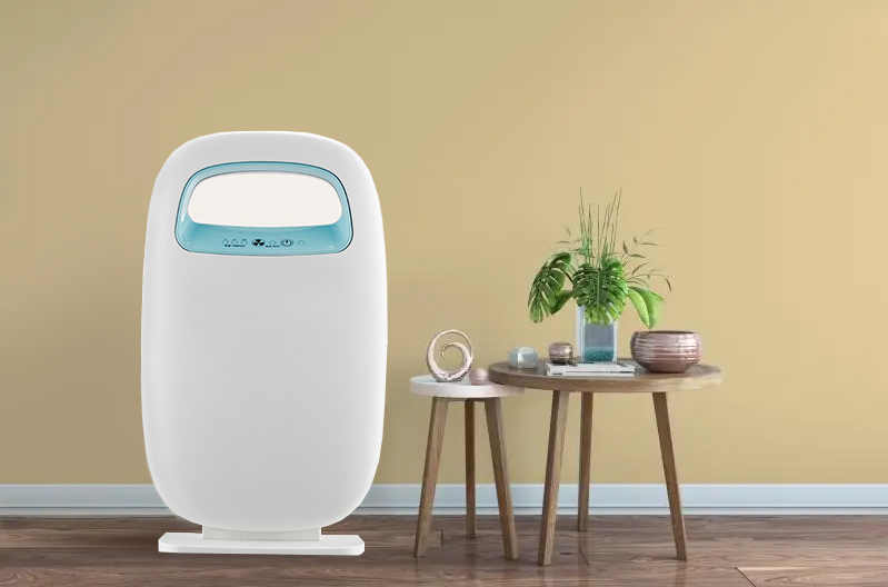 REMOVE FORMALDEHYDE BEST,ENJOY FRESH AIR MOST BK-03