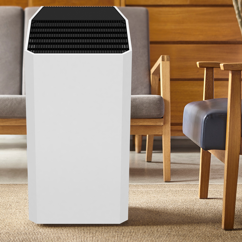 REMOVE FORMALDEHYDE BEST,ENJOY FRESH AIR MOST BKJ-90C