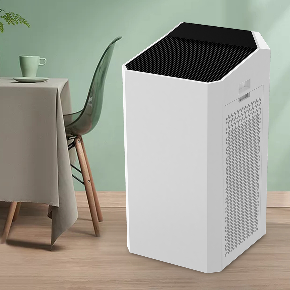 Do You Need an Air Purifier? 7 Signs You Do, Health Benefits, and Buying Tips