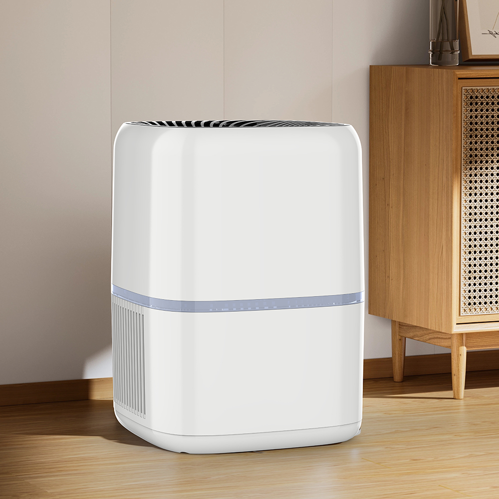 REMOVE FORMALDEHYDE BEST,ENJOY FRESH AIR MOST BKJ-15C