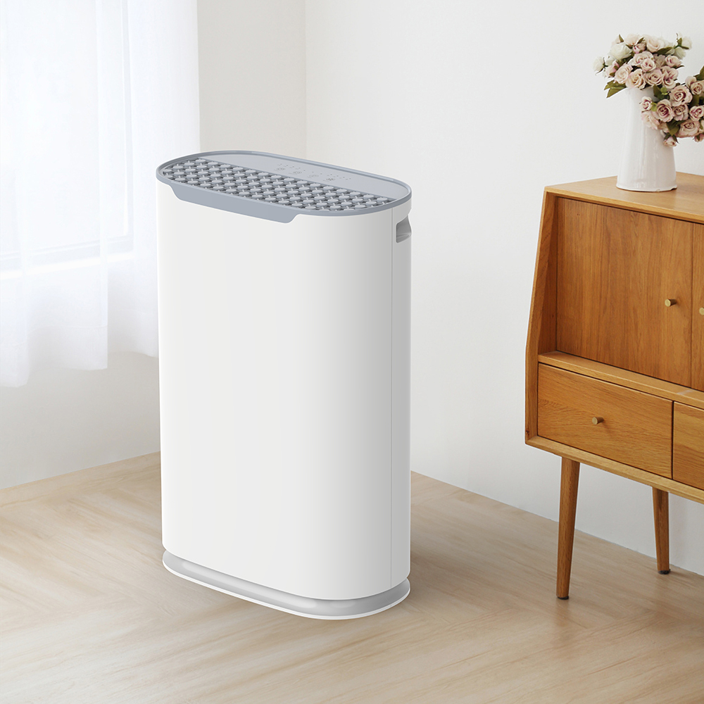 Best Office Air Purifiers: The Complete Buying Guide for Cleaner Indoor Air