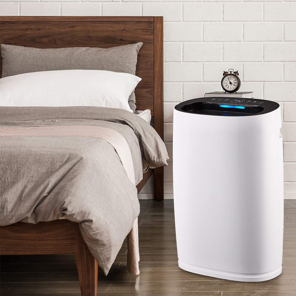 REMOVE FORMALDEHYDE BEST,ENJOY FRESH AIR MOST BKJ-306